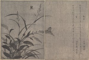 Baumgrille Matsumushi, Glühwürmchen Hotaru..., 1788 von Kitagawa Utamaro