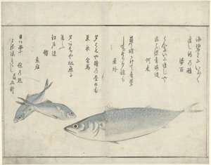 Drei Fische
