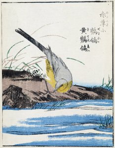 Vogel. Japanische Zeichnung von Kitao Kosuisai