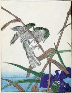 Vogel auf einem Baum. Japanische Zeichnung von Kitao Kosuisai