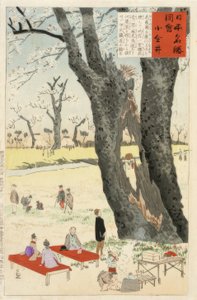 Koganei, Kirschblüten von Kiyochika Kobayashi