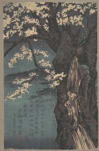 Kirschbaum von Kobayashi Kiyochika