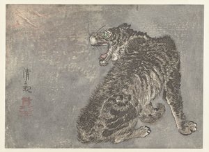 Tiger und Blitz