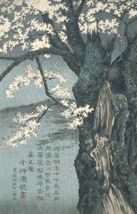 Der Krieger Taira no Tadanori, im Begriff, unter einem Kirschbaum zu schlafen von Kobayashi Kiyochika