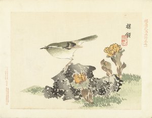 Grüner Vogel von Kono Bairei