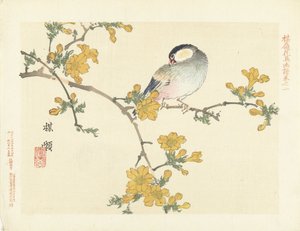 Singvogel auf blühendem Zweig