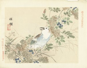 Singvogel zwischen Herbstgräsern