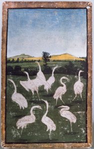 Reiher auf einem Feld, eines von einem Satz Spielkarten, die Szenen des höfischen Falkenflugs darstellen, Oberrhein-Gebiet, ca. 1440-45 von Konrad Witz