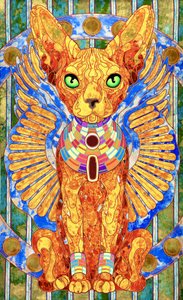 Goldgeflügelte Sphinx