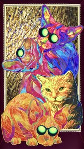 Groovy Brillenkatzen