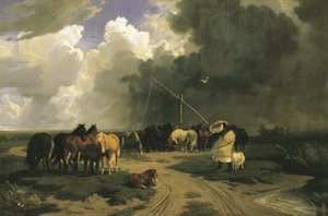 Pferde im Regensturm