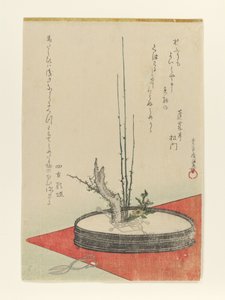 Anordnung von Pflaume, Fukujusō (Adonisblume) und Schere von Kubo Shunman