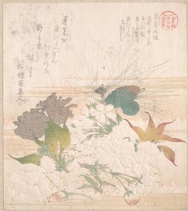 Kirschblüten und Kiefernzapfen von Kubo Shunman
