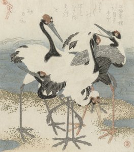Kraniche am Wasser, ca. 1816