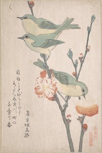 Japanische Weißaugen auf einem Pfirsichbaumzweig, aus der Serie Eine Reihe von Vögeln (Tori awase), aus dem Frühlingsregen Surimono Album (Harusame surimono-jō, Bd. 3) von Kubo Shunman