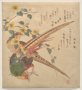 Paar chinesische Fasanen und ein Zweig Yamabuki-Blumen von Kubo Shunman