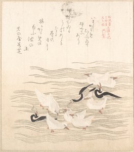 Möwen spielen auf dem Wasser von Kubo Shunman