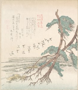 Küstenlandschaft mit Kiefern und fliegenden Kranichen von Kubo Shunman