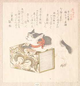 Frühlingsregen Sammlung, Bd. 1: „Bücher aus der Kanazawa-Bibliothek“ und „Fremde Katze des Shōmyōji-Tempels“, aus der Serie Geschichte von Kamakura