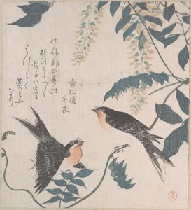 Schwalben und Glyzinien von Kubo Shunman