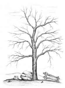 Kahler Winterbaum