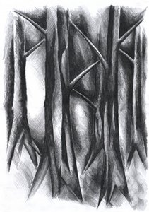 Dunkler Mysteriöser Wald
