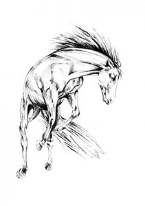 Dynamisches Wildpferd