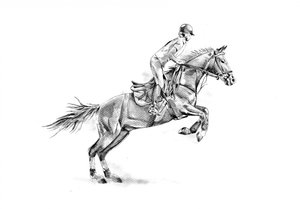 Springendes Pferd im Reitsport