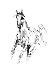 Galoppierendes Pferd Skizze