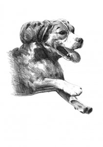 Fröhliche Hundeskizze