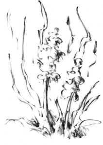 Monochrome Blumenpracht von Kulik