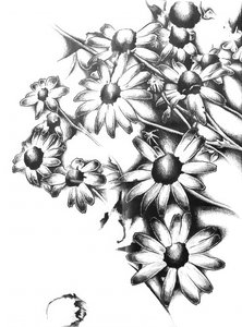 Schattierte Blumenblüte