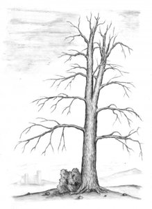 Kahler Winterbaum Schloss