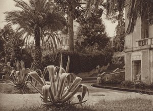 Rom: Im Vatikanischen Garten von Kurt Hielscher