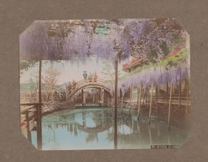 Menschen auf einer Brücke, im Vordergrund blühender Blauregen, in Kameido, Tokio, Japan von Kusakabe Kimbei