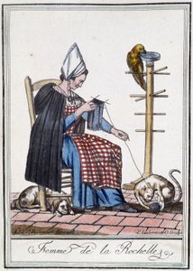 Frau von La Rochelle strickt mit einem Hund, einem Papagei und einer Katze, die mit dem Wollknäuel spielen