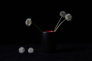 Elegante Löwenzahn Vase von LM Meng