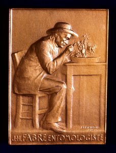 Jean Henri Fabre, französischer Entomologe, 1911 von L. Patriarche