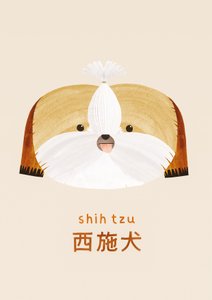 Shih Tzu, 2019 von Léa Le Pivert