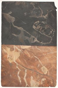 Entwurf für zwei verschiedene Arten der Marmorierung, eine schwarze und eine ockerrote von Lambert van Haven