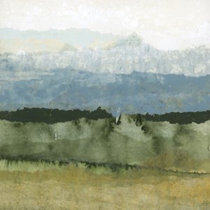 Neblige Grüne Landschaft