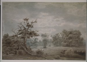 Waldlandschaft aus Düsseldorf