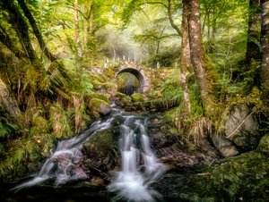 Verzauberter Waldstrombrücke von Lars van de Goor †