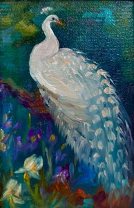 Weißer Pfau von Lee Campbell