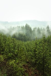 Frühlingstiefen von Lee Cooper