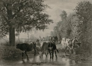 Heimwärts