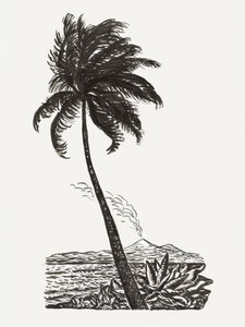 Palme mit einer Insel (ca. 1891–1941)