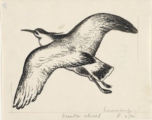 Fliegender Vogel von Leo Gestel
