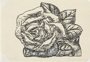 Ohne Titel (Rose)