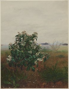 Blühender Lorbeer vor einer Landschaft von Léon Bonvin